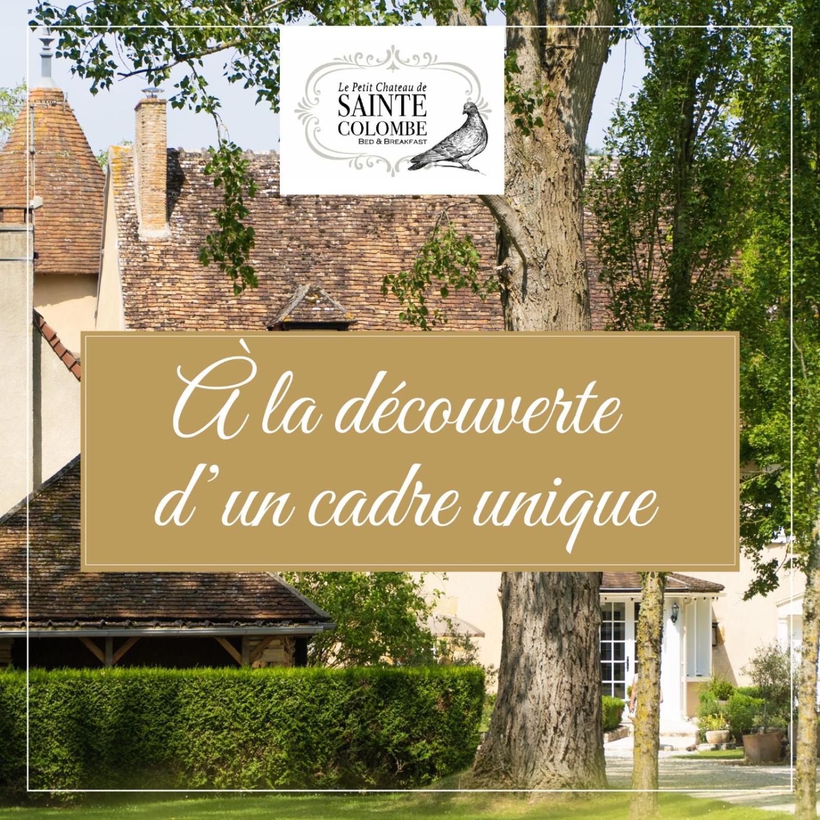 Le Petit Chateau De Sainte Colombe Bouges-le-Chateau Kültér fotó